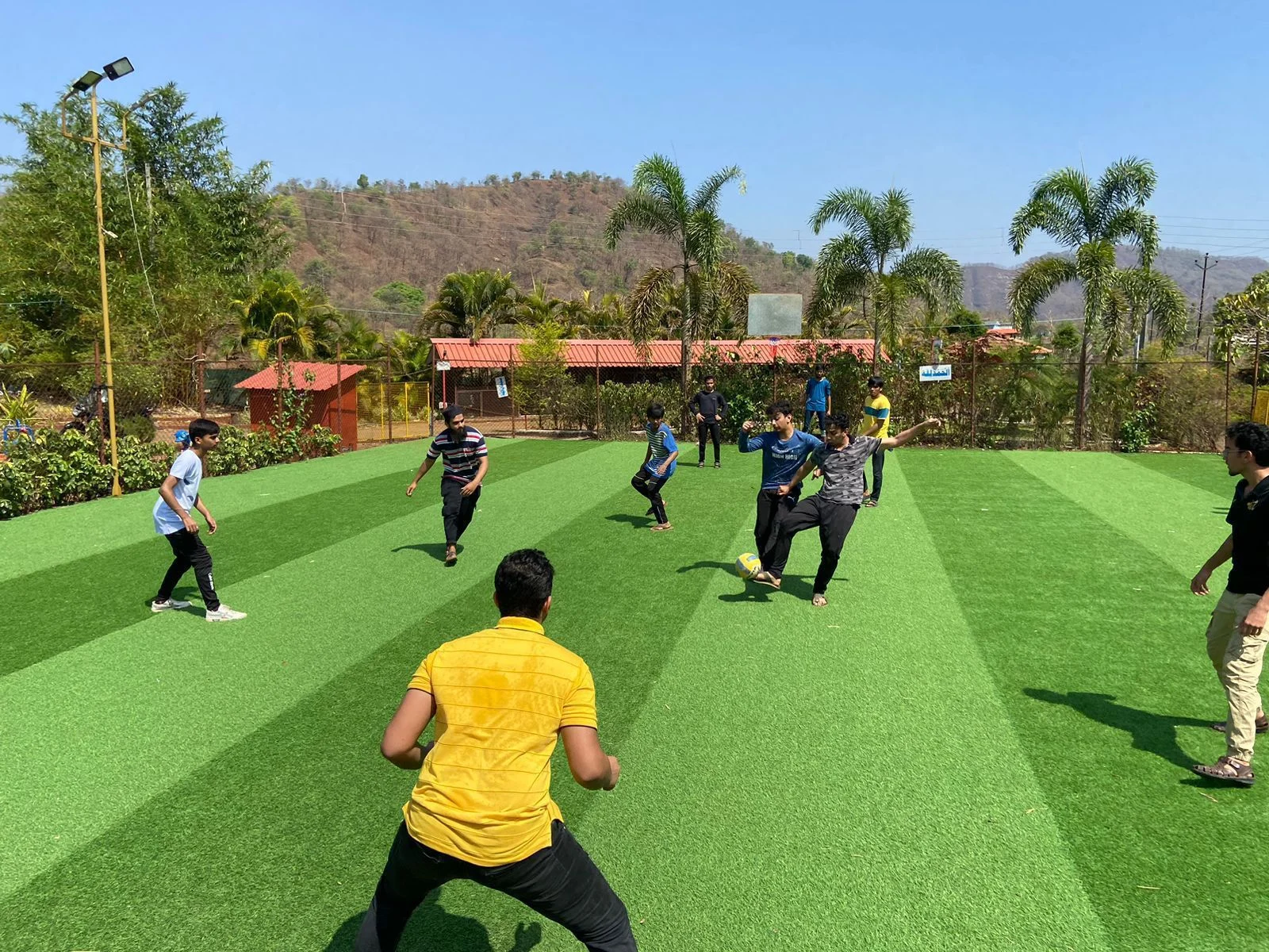 Guests playing on the green cricket turf at Raigad Agro Park
